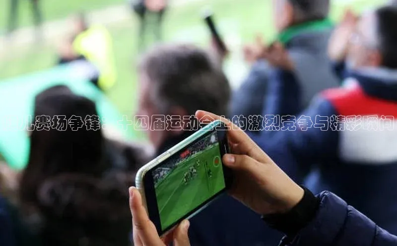 健儿赛场争锋：十四届运动会上的激烈竞争与精彩瞬间